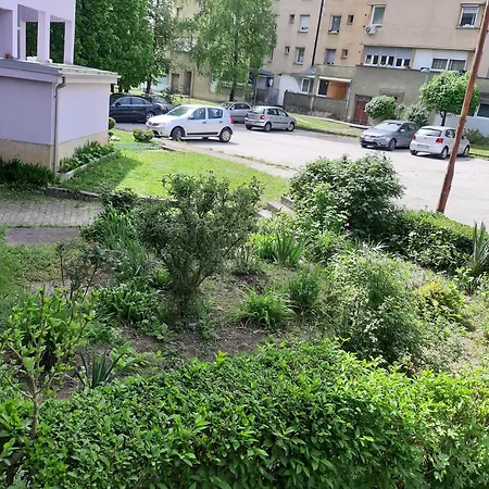 Nafo Bihać