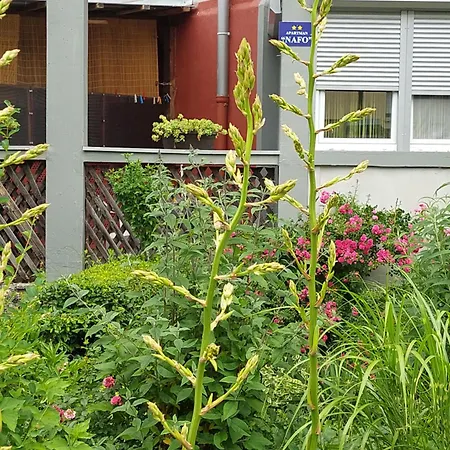 Nafo Apartman Bihać