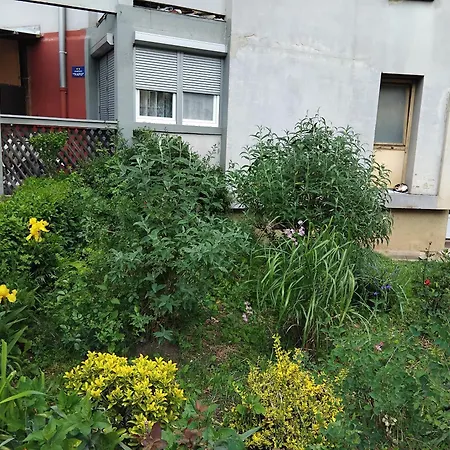 Nafo Apartman *